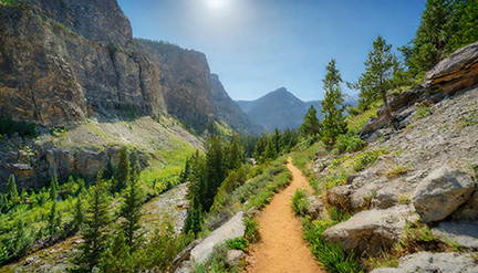 Cascade Canyon Trail